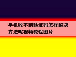 手机收不到验证码怎样解决方法呢视频教程图片