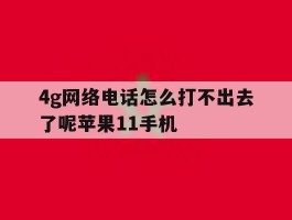 4g网络电话怎么打不出去了呢苹果11手机