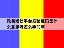 政务短信平台发验证码是什么意思呀怎么弄的啊