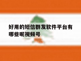 好用的短信群发软件平台有哪些呢视频号