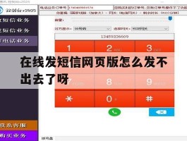 在线发短信网页版怎么发不出去了呀