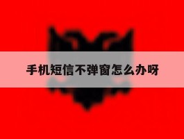 手机短信不弹窗怎么办呀