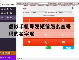 虚拟手机号发短信怎么查号码的名字呢