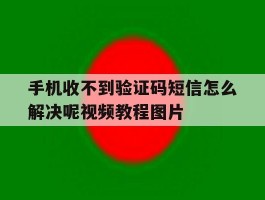 手机收不到验证码短信怎么解决呢视频教程图片