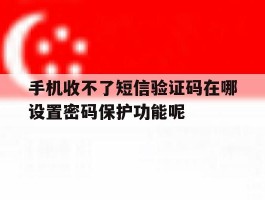 手机收不了短信验证码在哪设置密码保护功能呢