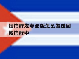 短信群发专业版怎么发送到微信群中