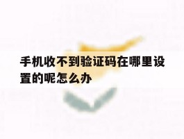 手机收不到验证码在哪里设置的呢怎么办