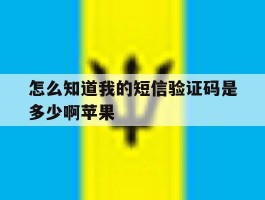 怎么知道我的短信验证码是多少啊苹果