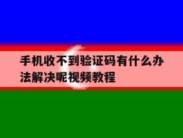 手机收不到验证码有什么办法解决呢视频教程