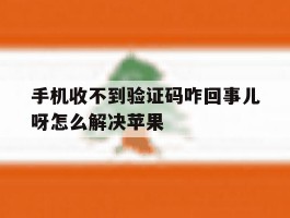 手机收不到验证码咋回事儿呀怎么解决苹果