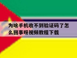 为啥手机收不到验证码了怎么回事呀视频教程下载