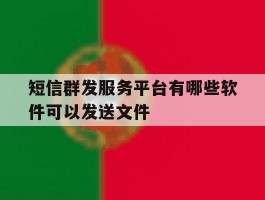 短信群发服务平台有哪些软件可以发送文件