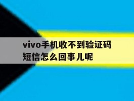 vivo手机收不到验证码短信怎么回事儿呢