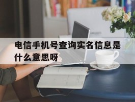 电信手机号查询实名信息是什么意思呀