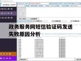 政务服务网短信验证码发送失败原因分析