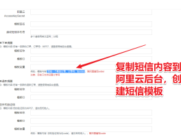 云在线短信免费接收什么意思啊