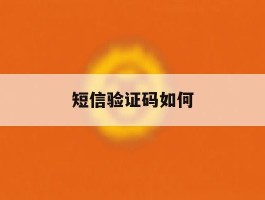 短信验证码如何