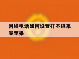 网络电话如何设置打不进来呢苹果