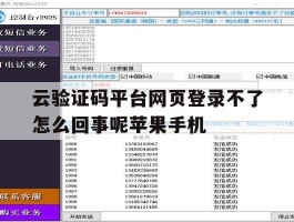 云验证码平台网页登录不了怎么回事呢苹果手机