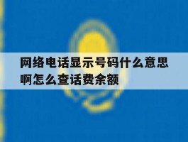 网络电话显示号码什么意思啊怎么查话费余额