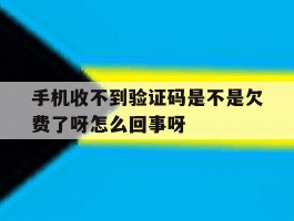 手机收不到验证码是不是欠费了呀怎么回事呀