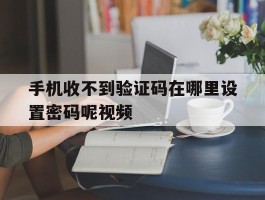 手机收不到验证码在哪里设置密码呢视频