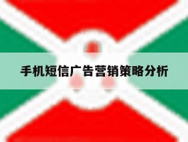 手机短信广告营销策略分析