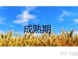 哪个短信平台比较好一点呢知乎文章下载免费