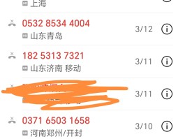 网络电话打过去显示什么信息