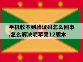 手机收不到验证码怎么回事,怎么解决呢苹果12版本