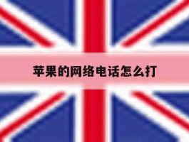 苹果的网络电话怎么打