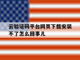 云验证码平台网页下载安装不了怎么回事儿