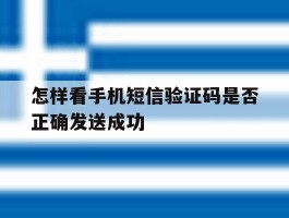 怎样看手机短信验证码是否正确发送成功