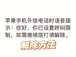 网络电话没信号怎么调整时间