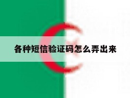 各种短信验证码怎么弄出来