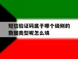 短信验证码属于哪个级别的数据类型呢怎么填