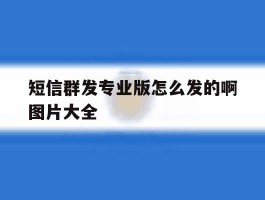 短信群发专业版怎么发的啊图片大全