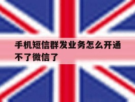 手机短信群发业务怎么开通不了微信了