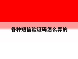 各种短信验证码怎么弄的