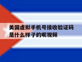 美国虚拟手机号接收验证码是什么样子的呢视频