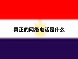 真正的网络电话是什么