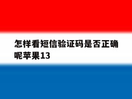 怎样看短信验证码是否正确呢苹果13