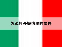 怎么打开短信里的文件