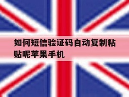 如何短信验证码自动复制粘贴呢苹果手机