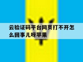 云验证码平台网页打不开怎么回事儿呀苹果