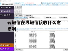 云短信在线短信接收什么意思啊