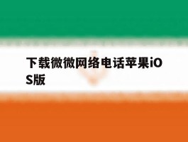 下载微微网络电话苹果iOS版