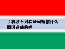 手机收不到验证码短信什么原因造成的呢