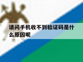 请问手机收不到验证码是什么原因呢