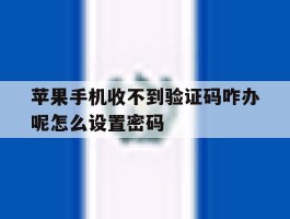 苹果手机收不到验证码咋办呢怎么设置密码